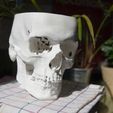 a29fdf47a90a51b7a34c505df4f99f64_display_large.jpg skull ashtray