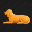 2635-Bracco_Italiano_Pose_09.jpg Bracco Italiano Dog 3D Print Model Pose 09