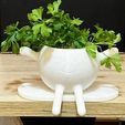 2.jpg Swing pot
