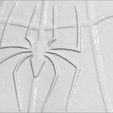 21.jpg Spider-Man Andrew Garfield bust 3D printing ready stl obj formats