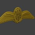 WW2-British-Royal-Air-Force-Wings-I-0010.jpg 二战英国皇家空军机翼 I
