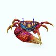 2.jpg Crab - DOWNLOAD Crab 3d Model - animated for Blender-Fbx-Unity-Maya-Unreal-C4d-3ds Max - 3D Printing Crab Crab Crab - POKÉMON - DINOSAUR