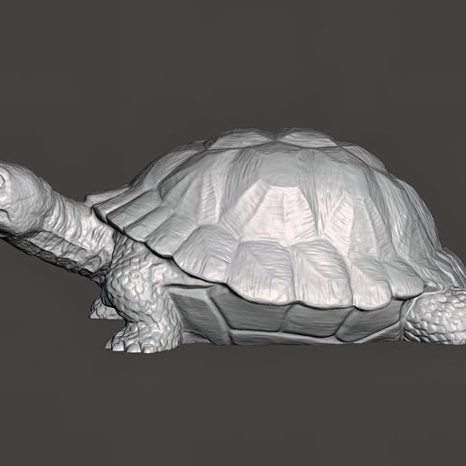 Turtle-Figurine-Pic-2.jpg Turtle Figurine