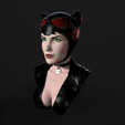 Catwoman (2).png Bust - Catwoman