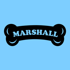 paw-patrol-marshall-bone-blue.png Paw Patrol Marshall Bone with Name 2D Wall Decoration