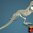 komodo-dragon-skeleton-3d-model-obj-fbx-stl-1.jpg Komodo Dragon Skeleton 3D printable Model