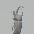 3.png Beetle 3d model 3D print model