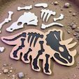 1-1-4.jpg TriceratopsDinosaur Puzzle Toy 3D Print – Skeleton Assembly Model – Educational Printable STL