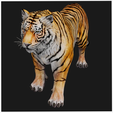 portadaT-45240.png TIGER DOWNLOAD Bengal TIGER 3d model animated for blender-fbx-unity-maya-unreal-c4d-3ds max - 3D printing TIGER CAT CAT