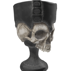 Captura-de-pantalla-2023-11-26-091018.png Gobelet crâne antique