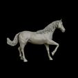 18.jpg American Quarter Horse model 3D print model