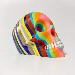 IMG_6413.jpeg Psychedelic Skull