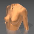 06.png STL file Bust 01・3D printer model to download
