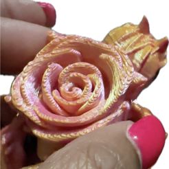 Rose Turtle, Roseurtle, Cinderwing3D, Valentine's Day, Articulating Flexi Wiggle Pet, Print in Place, Fantasy