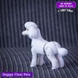 8.jpg Realistic Poodle dog articulated flexi toy named Luna  (STL & 3MF)