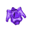 Cervical_Vertebra_08.OBJ Life size baby T-rex skeleton - Part 10/10