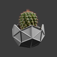 cac5.png Geodesic cactus pot planter