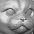 13.jpg British Shorthair cat head for 3D printing