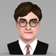 untitled.345.jpg Harry Potter bust ready for full color 3D printing