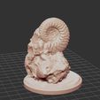 2023_02_13_09_44_11_Greenshot.jpg Free STL file Ammonite 3D Scan・3D printing design to download