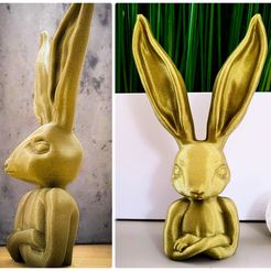 PSX_20220307_081227.jpg Free STL file Easter Bunny・3D printer design to download