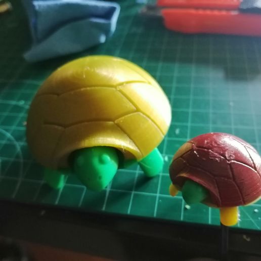 Squishy Turtle