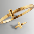 11.png Tiffany T Style Ring Bangle Set 3D Model STL 3DM Cad File