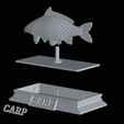 Carp-money-6.png fish sculpture of a carp with storage space for 3d printing