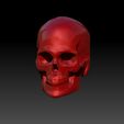 con1.jpg Skull Concept