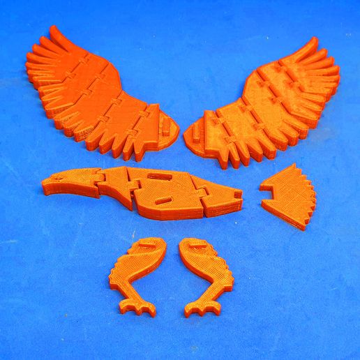 F3.jpg Download free STL file Flexi Eagle • 3D printable model, dancingchicken