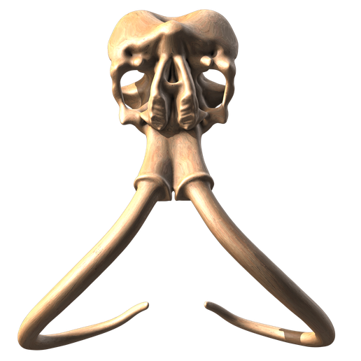 7.png Mammoth skull