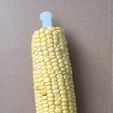 corn_on_the_con.jpg corn cob dagger