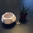 IMG_1994.jpg STL-Datei TRIO'PICAL・Design zum Herunterladen und 3D-Drucken