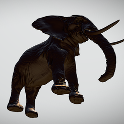 elephant 2.PNG Elephant