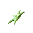 snapshot_p3d-(8).png Real starfish 3d scan