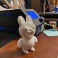 Final-Mr-Hoppington-Rabbit-3D-Print.jpg Bay Hoppington