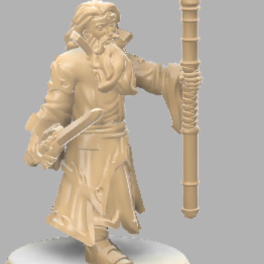 Figurine jds Mini Rogue Magician / Wizard