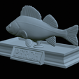 Perch-statue-29.png fish perch / Perca fluviatilis statue detailed texture for 3d printing