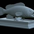 White-grouper-open-mouth-statue-46.png fish white grouper / Epinephelus aeneus open mouth statue detailed texture for 3d printing