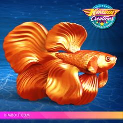 BettaFish_MMF.jpg Archivo STL gratis Betta Fish・Plan imprimible en 3D para descargar