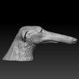 ZGrab11.jpg Borzoi dog head