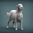 English-Setter3.jpg 3D-Datei English Setter 3D-Druckmodell・Modell zum Herunterladen und 3D-Drucken