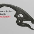 p1.jpg Dinosaur skull - Parasaurolophus