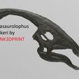 p1.jpg Dinosaurier-Schädel - Parasaurolophus