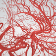 artery,-cerebrovascular,-brain,-face,-hemisphere,-willis,-dental,-neck,-vein,-head,-cerebellum,-vasc.png 3D 头颈部血管解剖图 - 动脉、静脉和脑血管系统