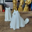 20221005_164301.jpg Gato fantasma / жуткий кот