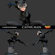 3side.jpg Catwoman stylized