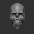 skull1.jpg sculpted human skull