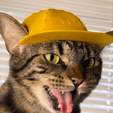 IMG_3975.png Baseball Cat Cap