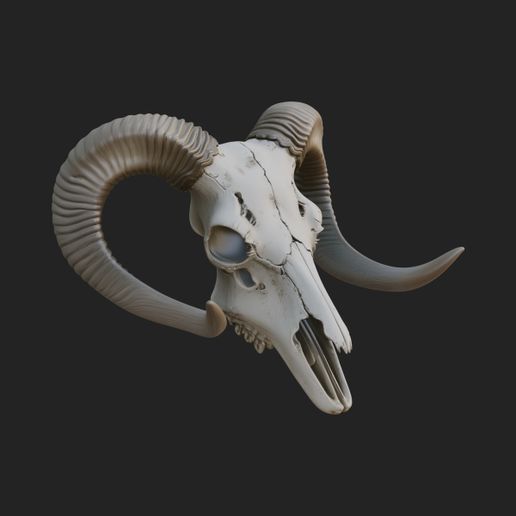 Ram Skull Wall Mount Design 9 - 3D Print Model